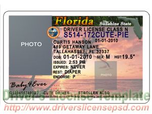 free state id templates
